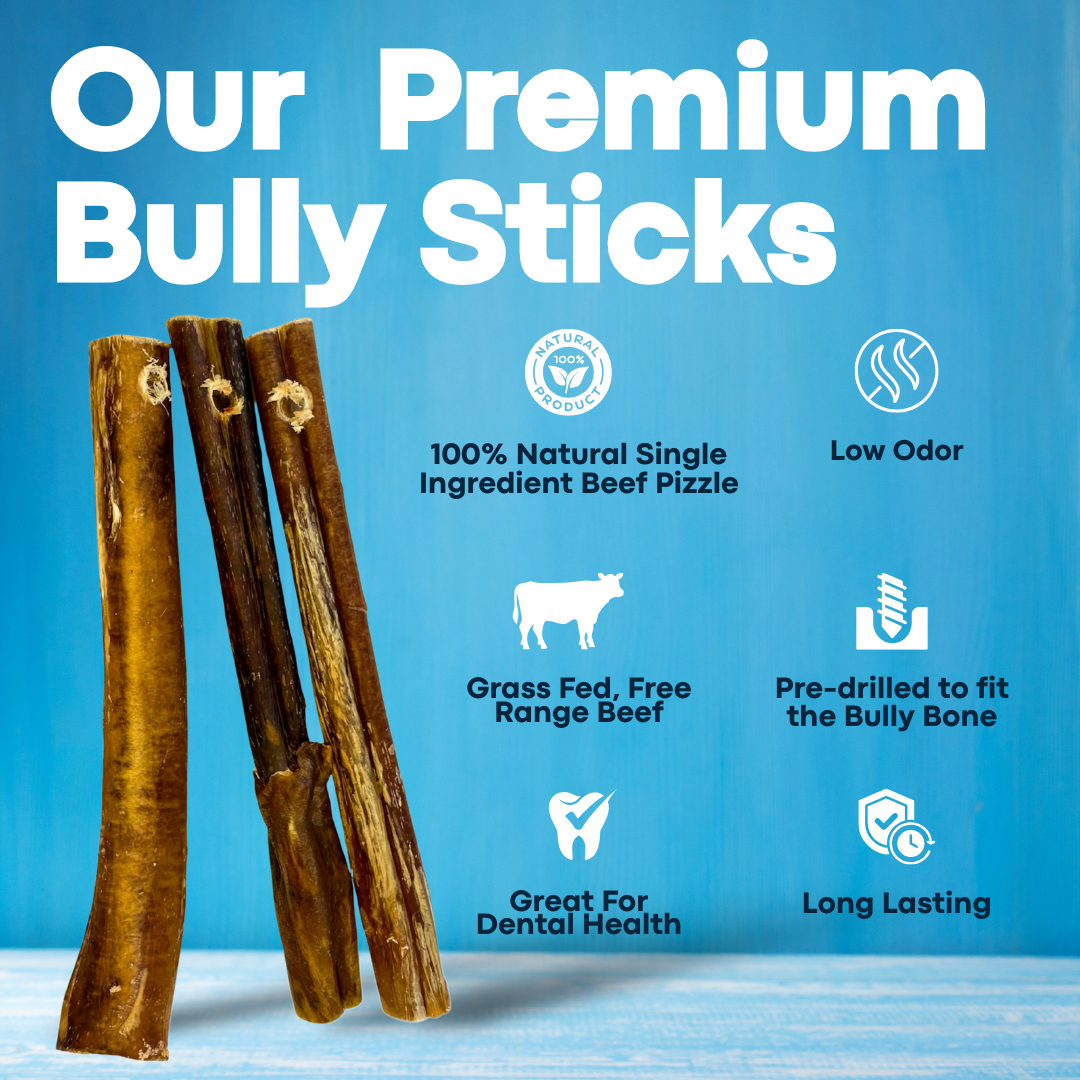 12" Jumbo Bully Sticks - Bully Bone Included