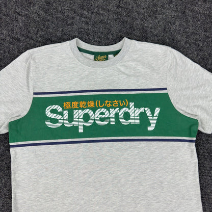 Superdry Mens Graphic T-Shirt Grey Green Stripe Logo Crew Neck Small by Superdry