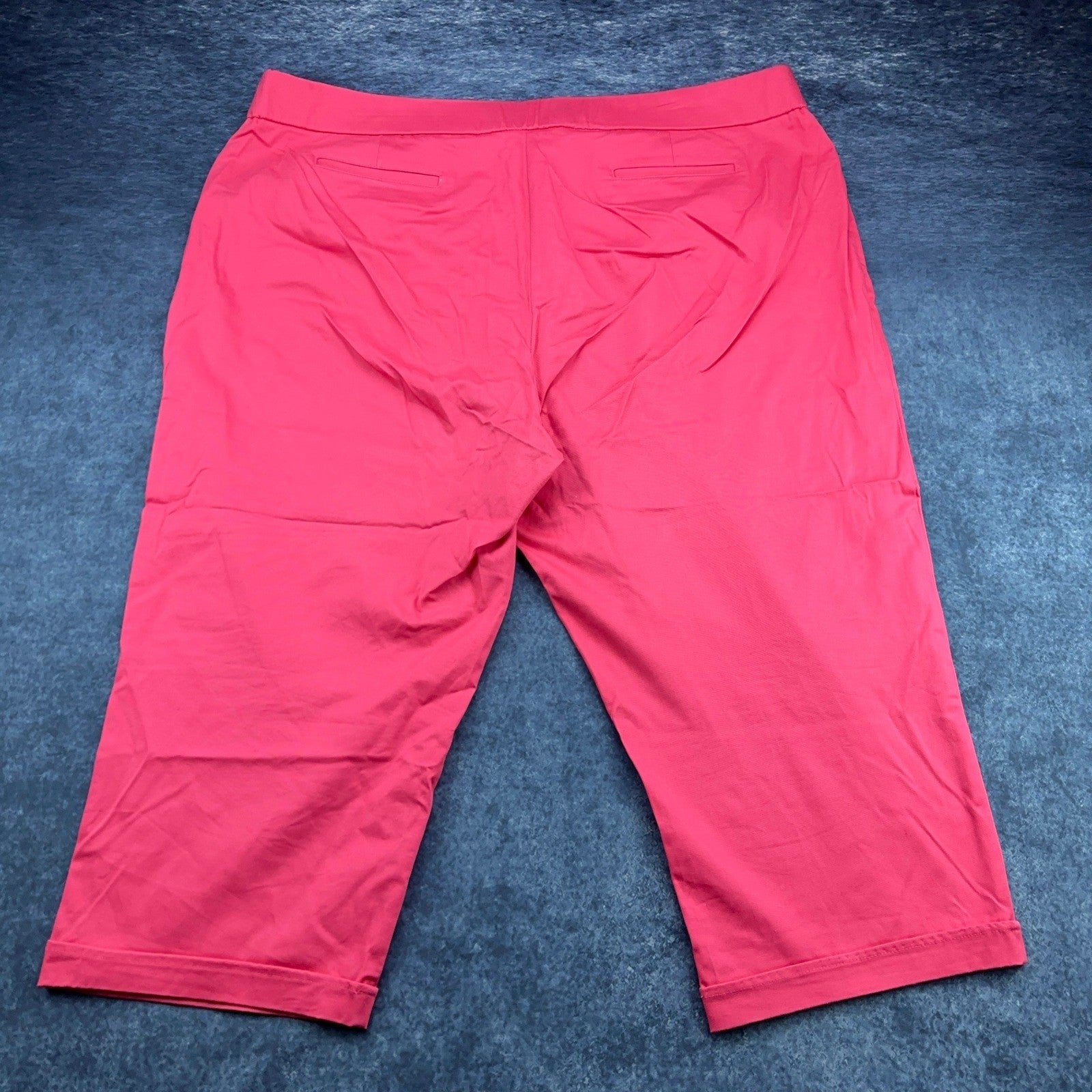 Sag Harbor Stretch Woman Pink Capri Pants Plus Size 24W Cropped Trousers by Sag Harbor