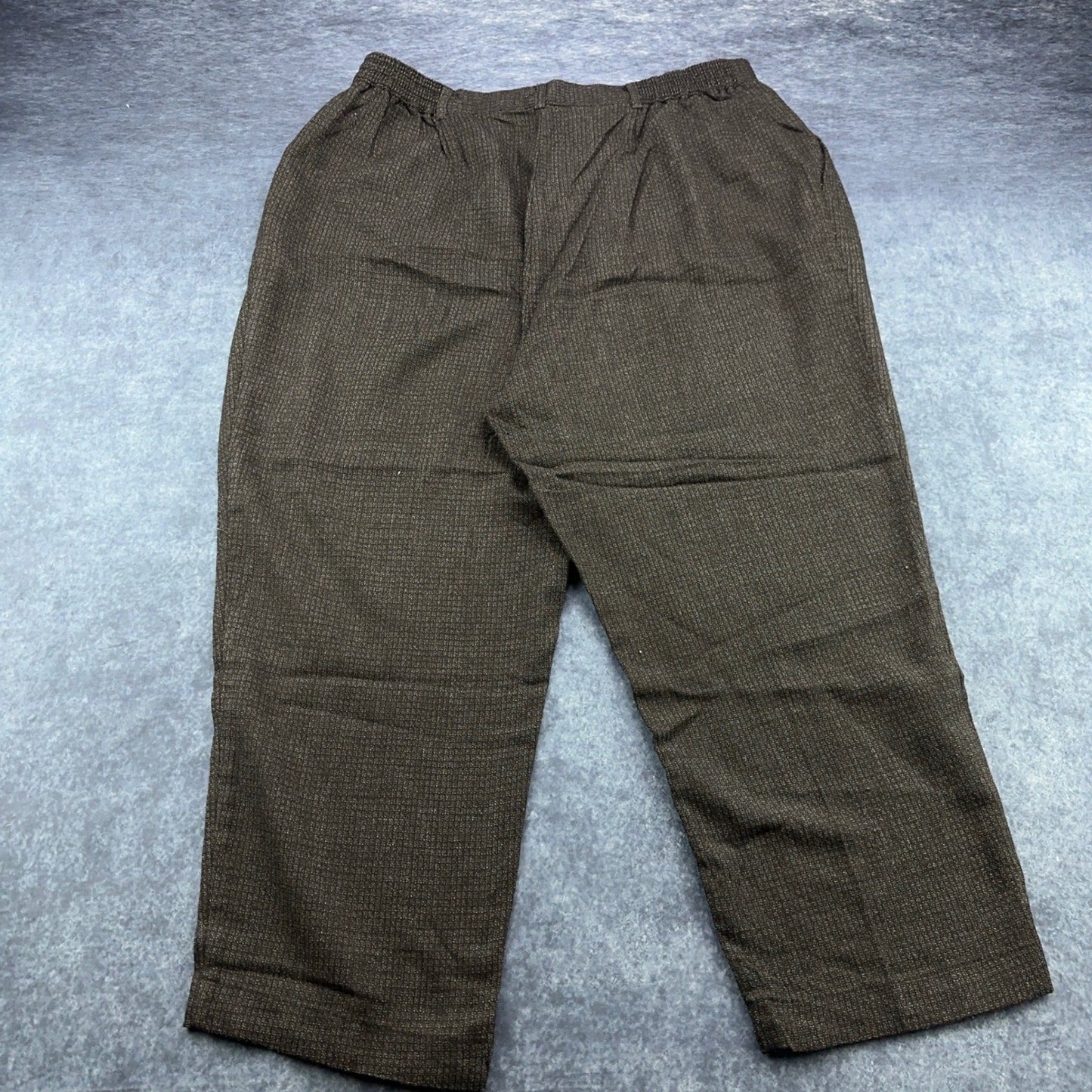 Sag Harbor Woman 20W Pleated Dress Pants Charcoal Textured Elastic Waist by Sag Harbor Woman