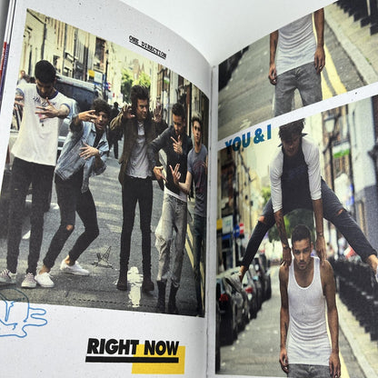 One Direction Midnight Memories The Ultimate Edition CD Album