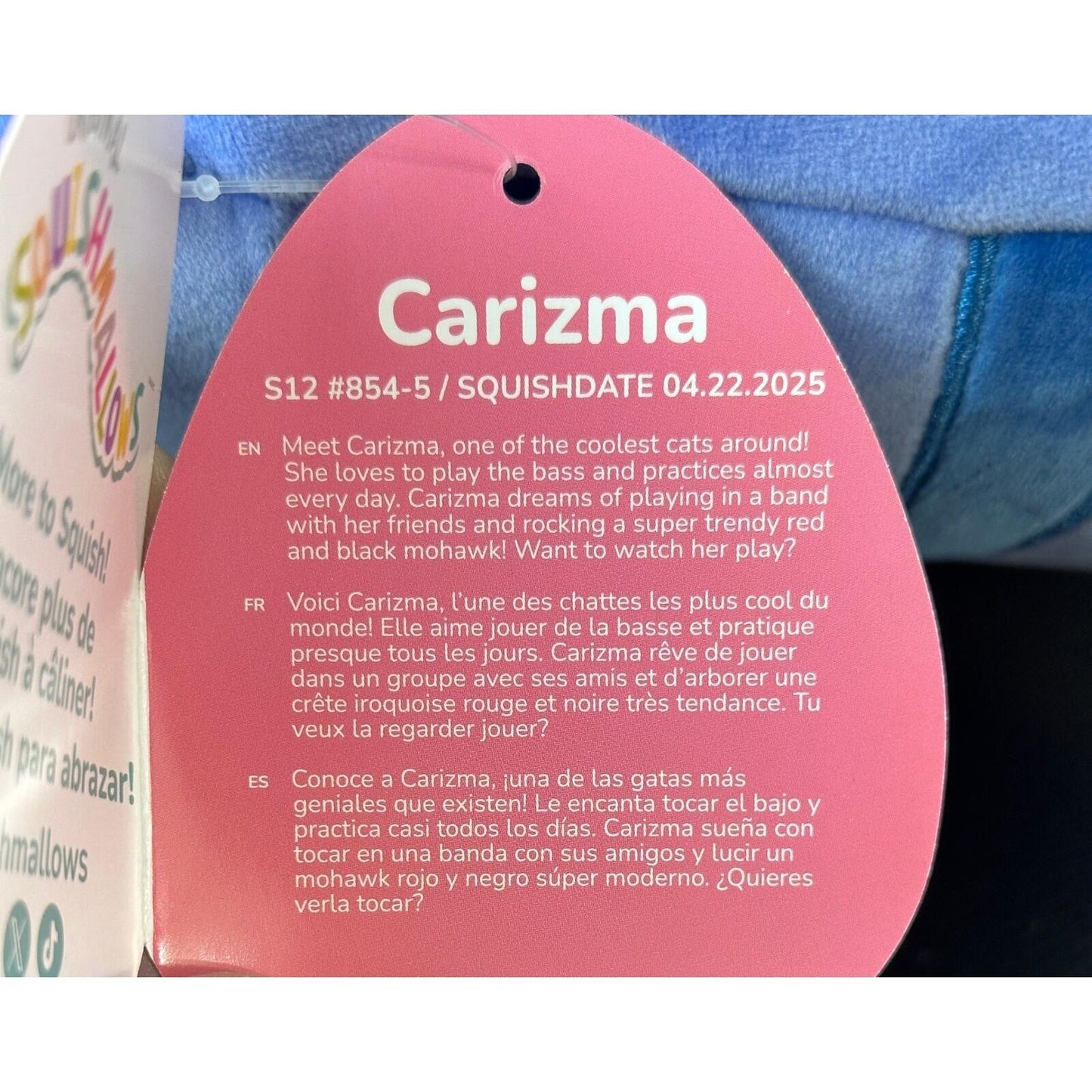 Squishmallows Original 12 Inch Carisma The Tabby Cat Valentine 2026 New Plush