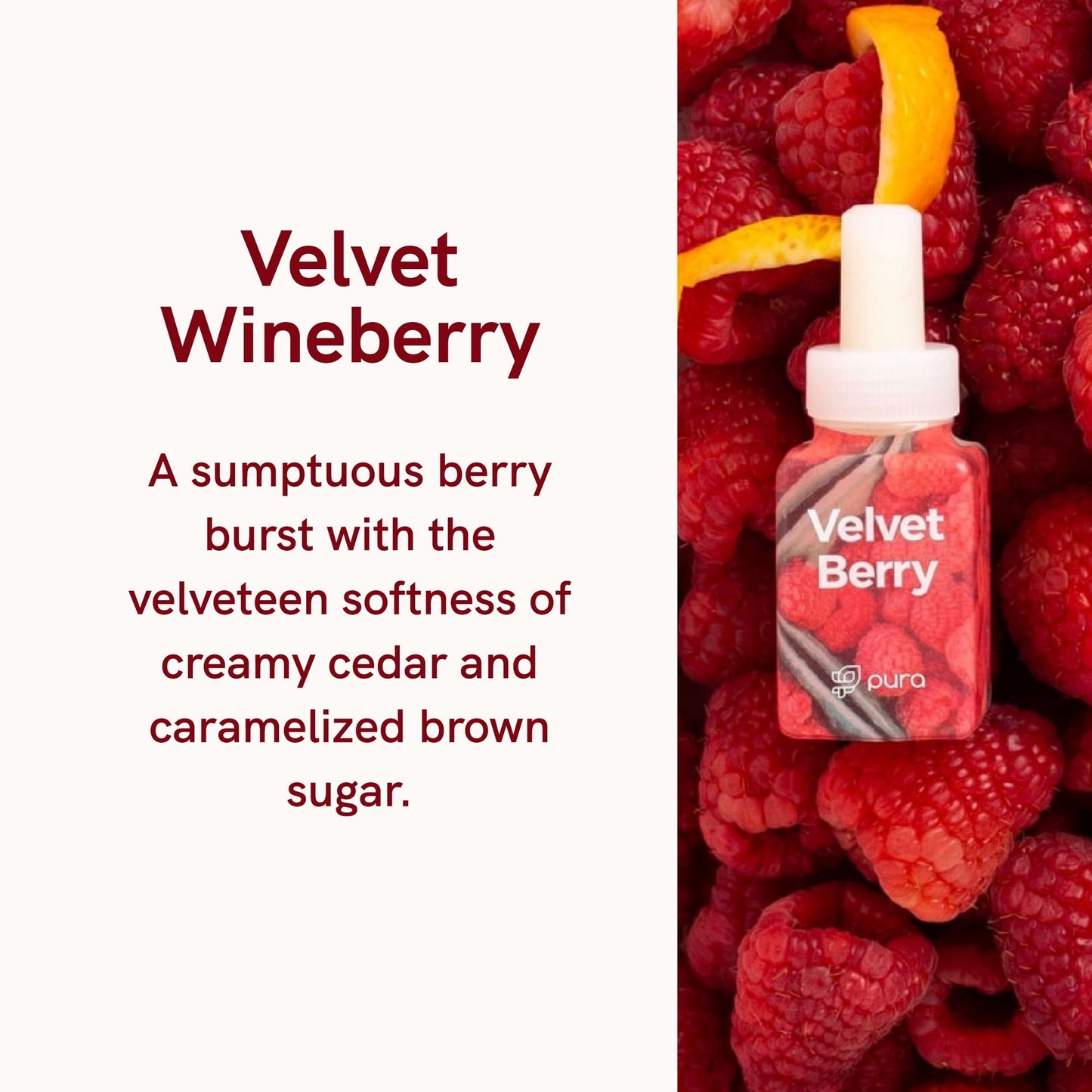 Close-up of Velvet Berry fragrance refill bottle with text describing scent notes: creamy cedar and caramelized brown sugar on a raspberry background