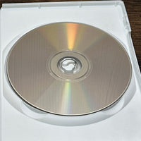 Stuart Little 3 Call of the Wild Dora the Explorer Rhymes and Riddles DVD Lot
