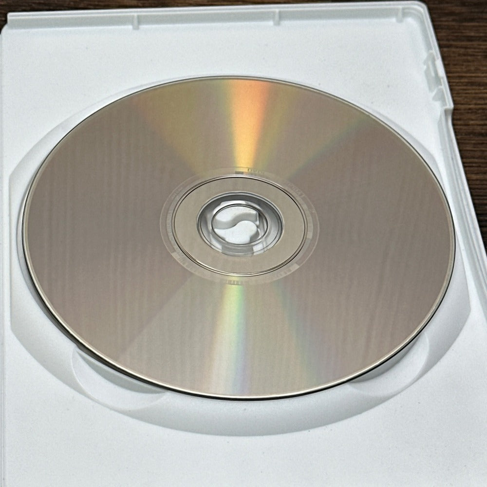 Stuart Little 3 Call of the Wild Dora the Explorer Rhymes and Riddles DVD Lot