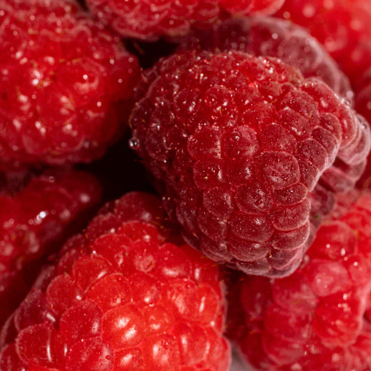 Close-up of fresh red raspberries representing berry scent notes